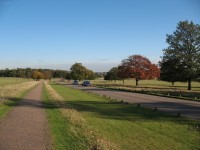1362148325_IMG4407