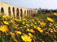 Aqueduct_Kamares_1_Larnaka_lrg