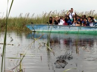 LAL-US-SS-BR-Excursion-Everglades-05