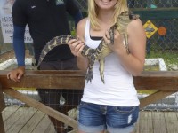LAL-YL-FLL-Everglades-02