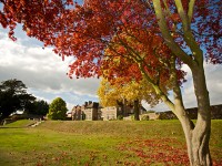 KingsSummer_MoretonHall3.b6034d90a87c0e78424926ac7ef8ede8
