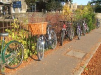 embassy_summer_schools_cambridge_bicycles