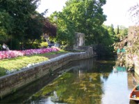 embassy_summer_schools_canterbury_river