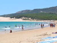 BOLONIA