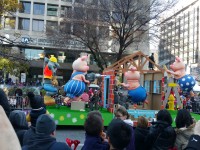 20151115_141528