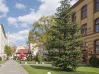 haus5-m
