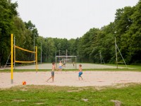 volleyball_medium