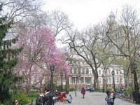 embassy_summer_schools_new_york_pace_park