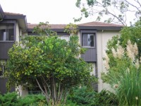 embassy_summer_schools_los_angeles_occidental_residence