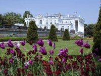 LAL-TOR-OldwayMansion-2